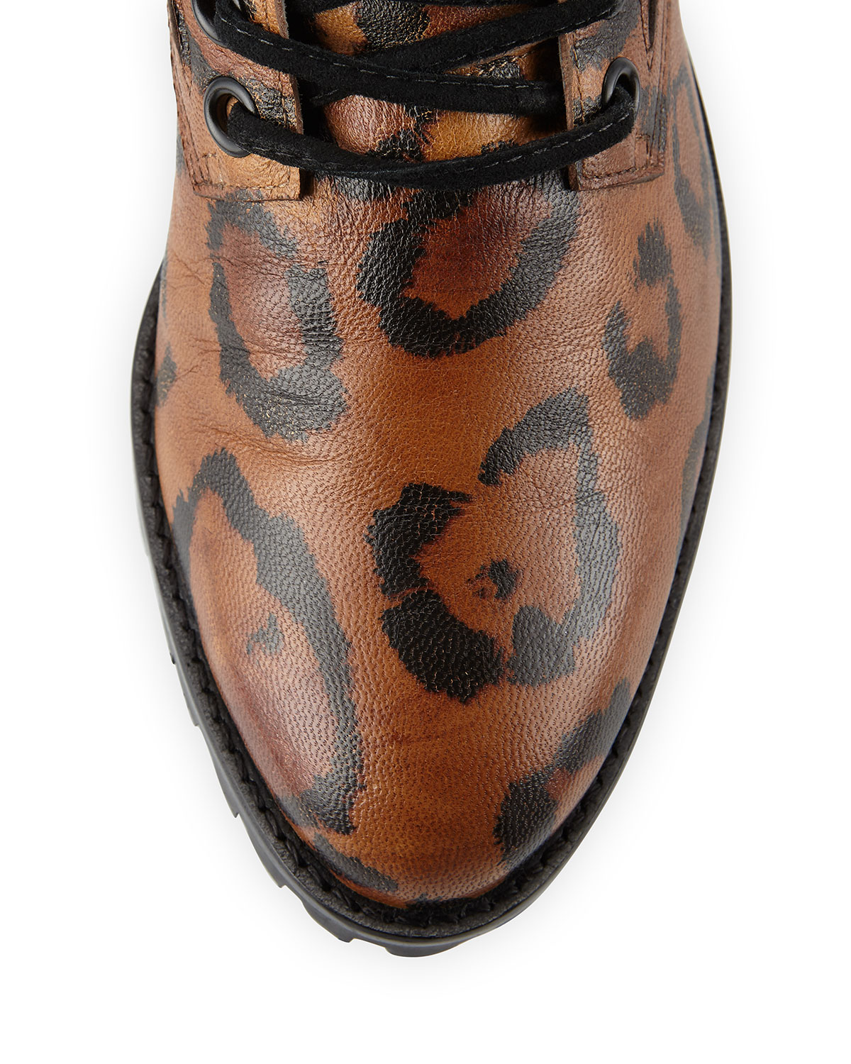 sophia webster leopard